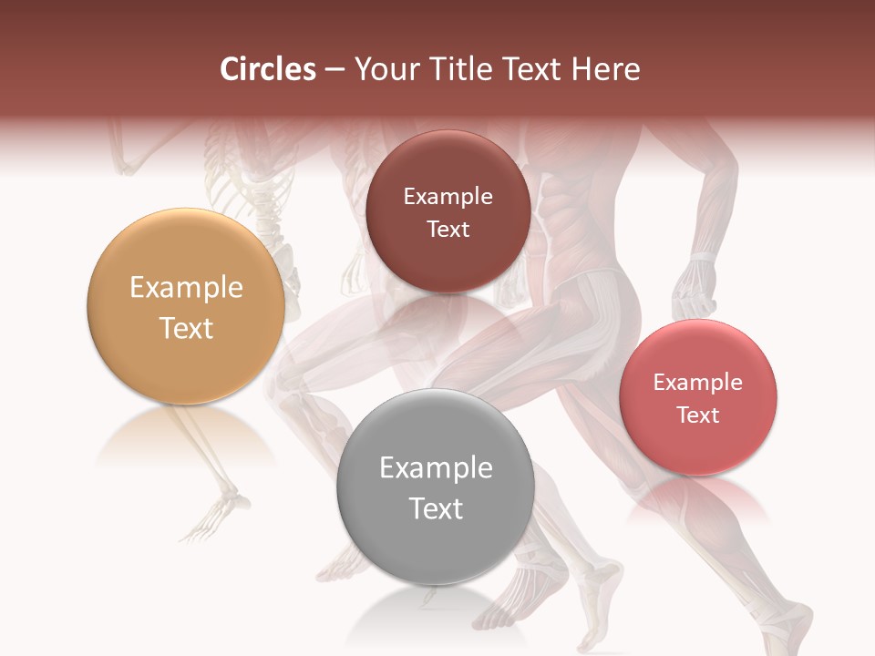 Structure System Posture PowerPoint Template