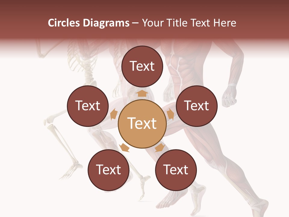 Structure System Posture PowerPoint Template