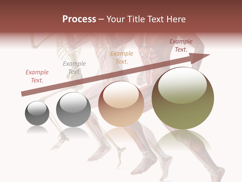 Structure System Posture PowerPoint Template