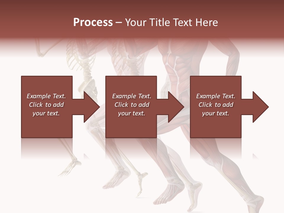 Structure System Posture PowerPoint Template