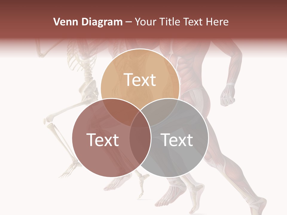 Structure System Posture PowerPoint Template