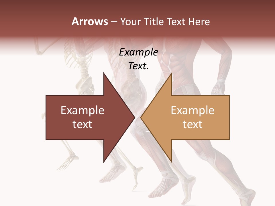 Structure System Posture PowerPoint Template