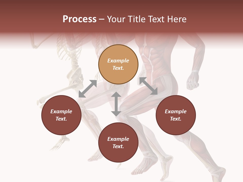 Structure System Posture PowerPoint Template