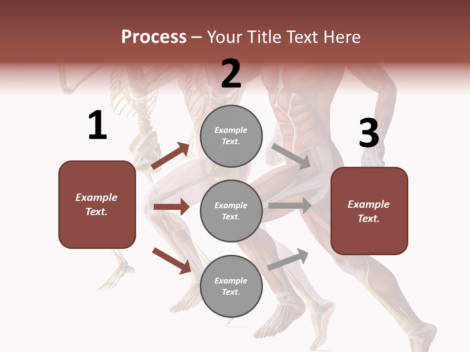 Structure System Posture PowerPoint Template
