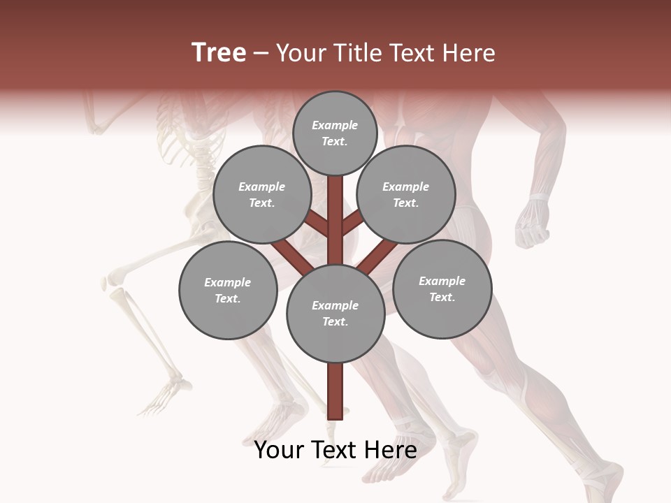 Structure System Posture PowerPoint Template