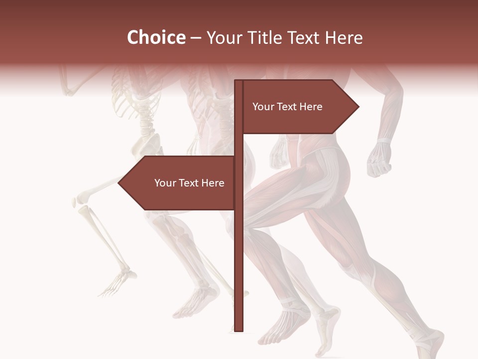 Structure System Posture PowerPoint Template