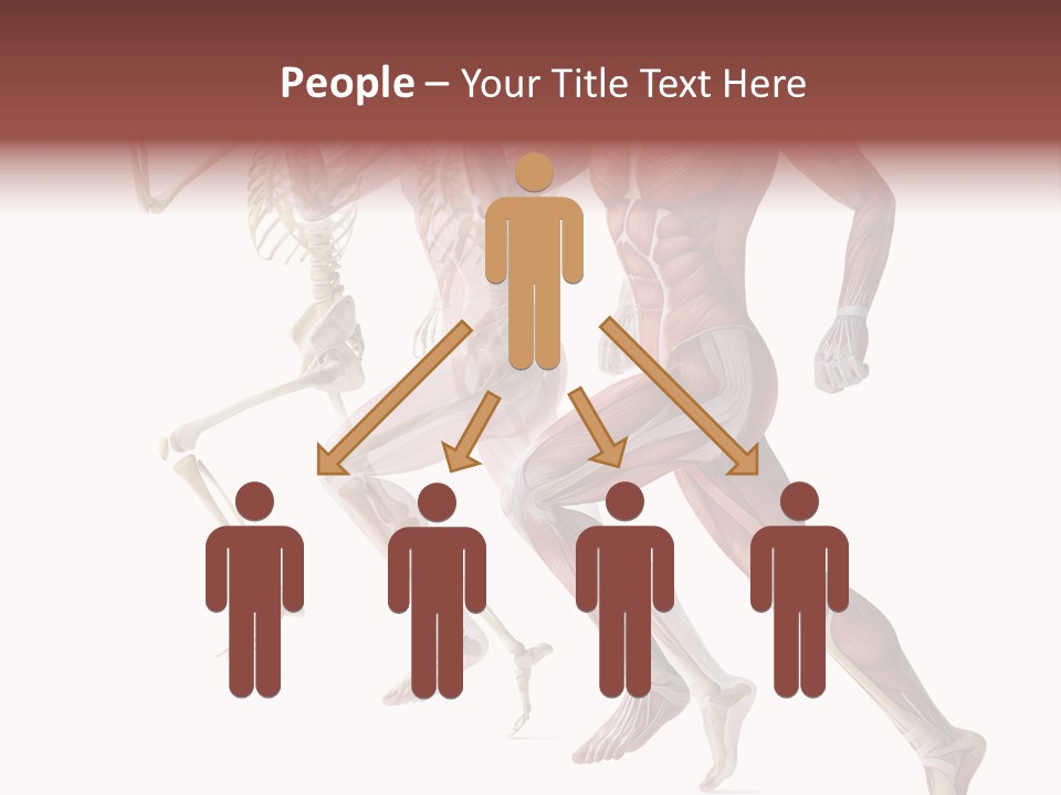 Structure System Posture PowerPoint Template