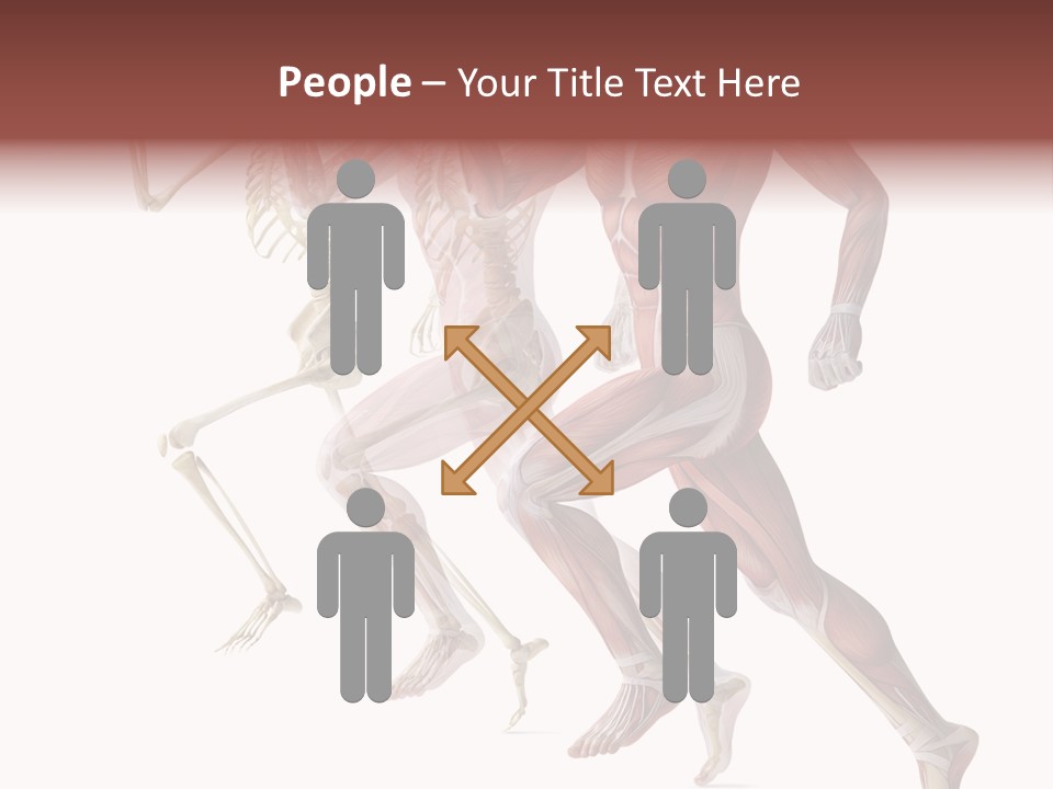 Structure System Posture PowerPoint Template