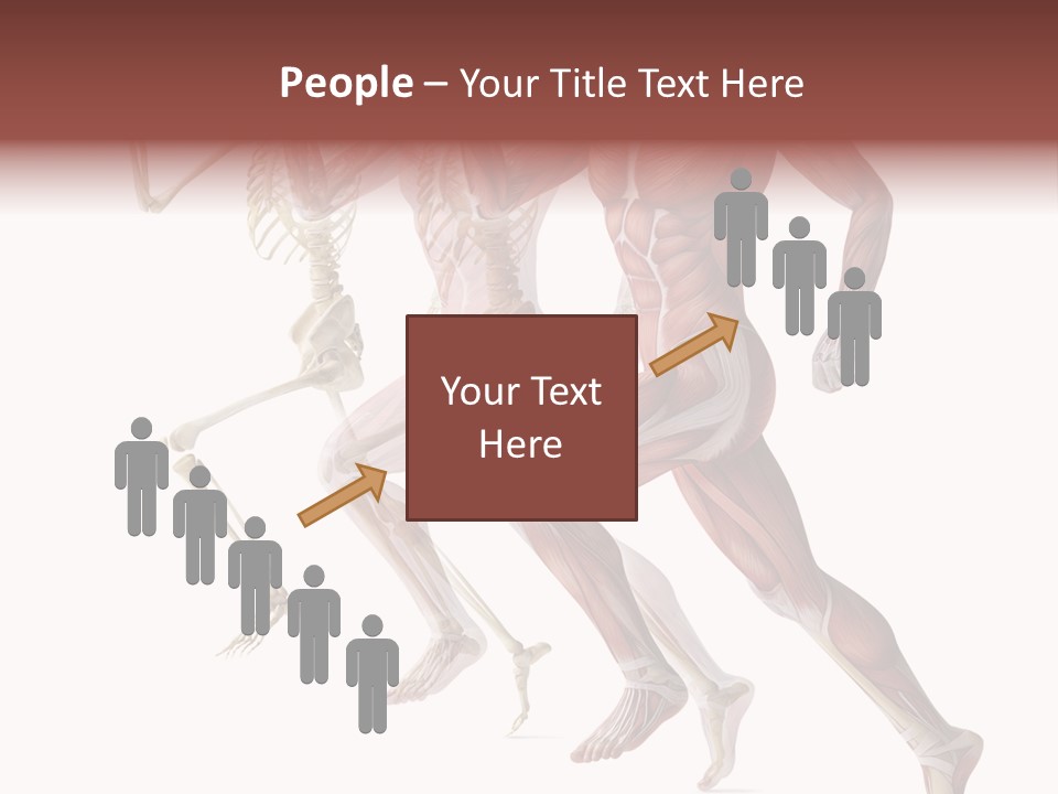 Structure System Posture PowerPoint Template