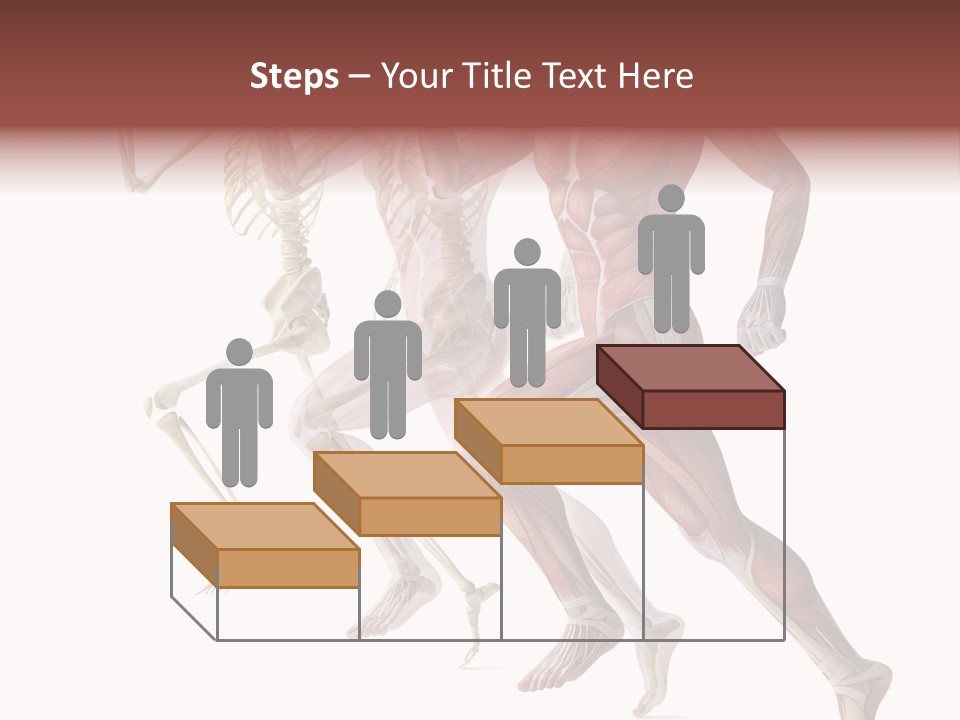 Structure System Posture PowerPoint Template