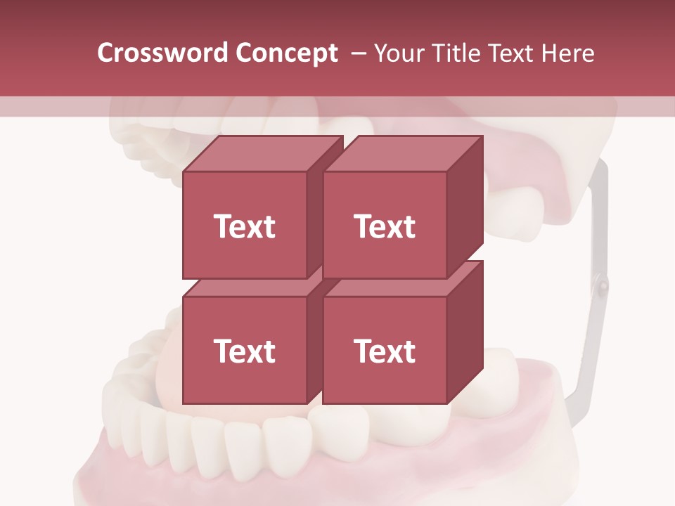 Background Object Bone PowerPoint Template
