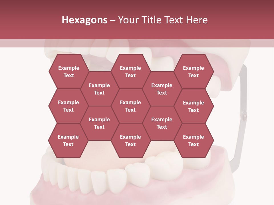 Background Object Bone PowerPoint Template