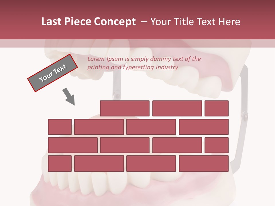 Background Object Bone PowerPoint Template