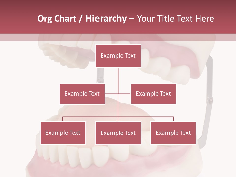 Background Object Bone PowerPoint Template