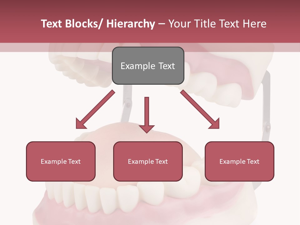 Background Object Bone PowerPoint Template