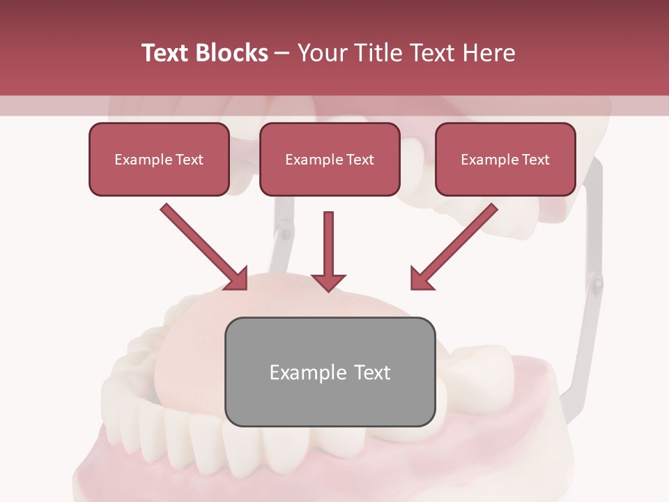 Background Object Bone PowerPoint Template