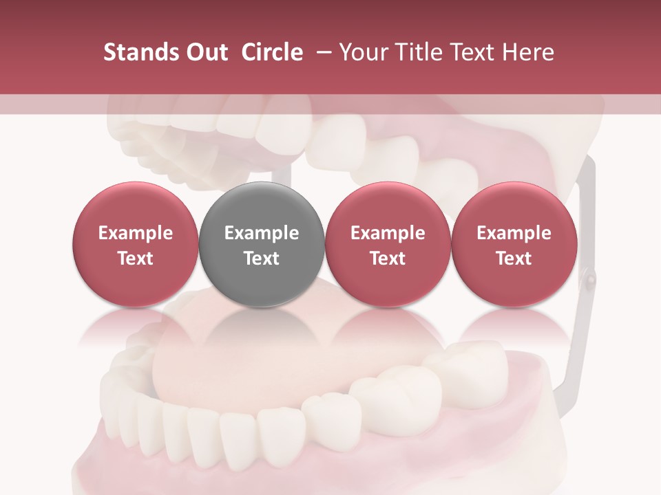 Background Object Bone PowerPoint Template