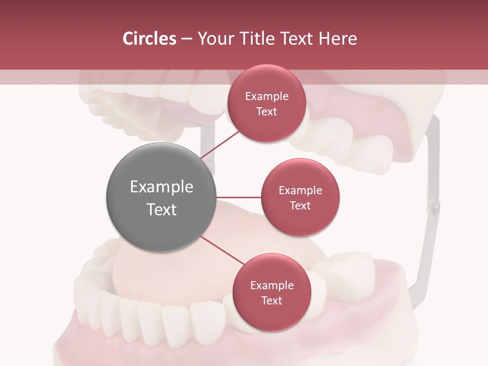 Background Object Bone PowerPoint Template