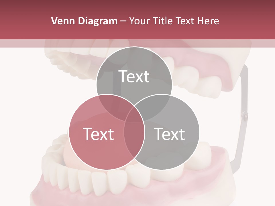 Background Object Bone PowerPoint Template