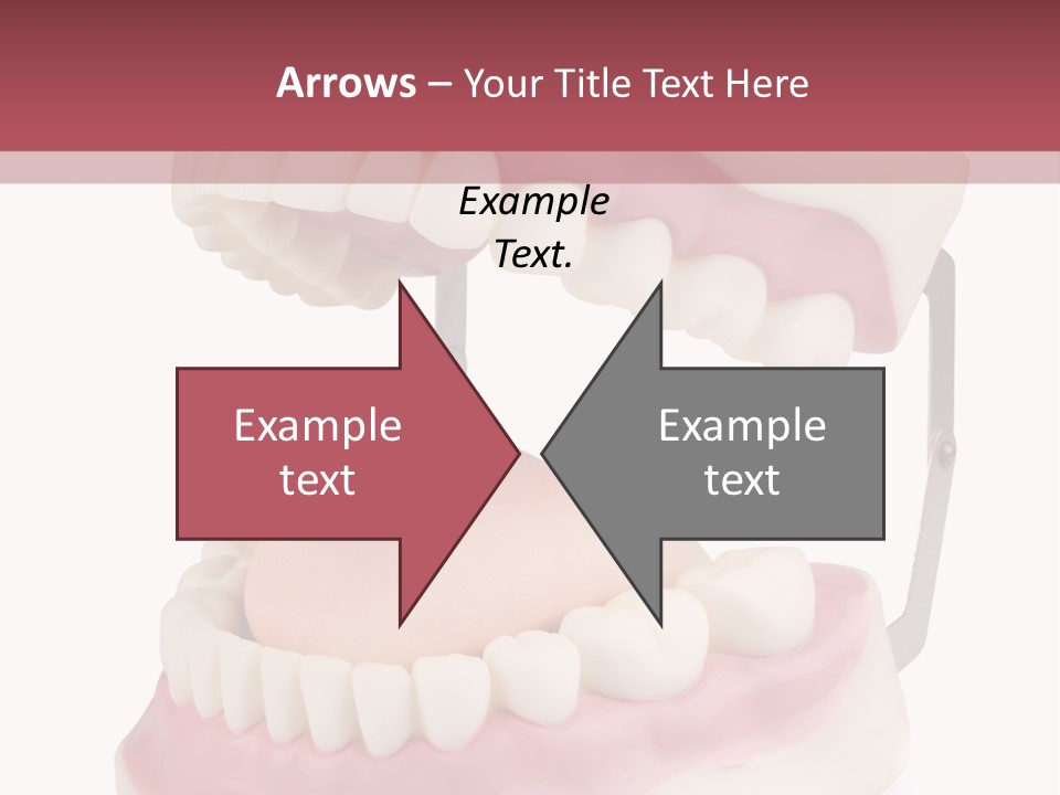 Background Object Bone PowerPoint Template