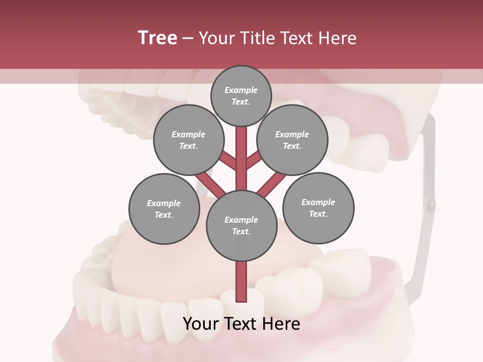 Background Object Bone PowerPoint Template