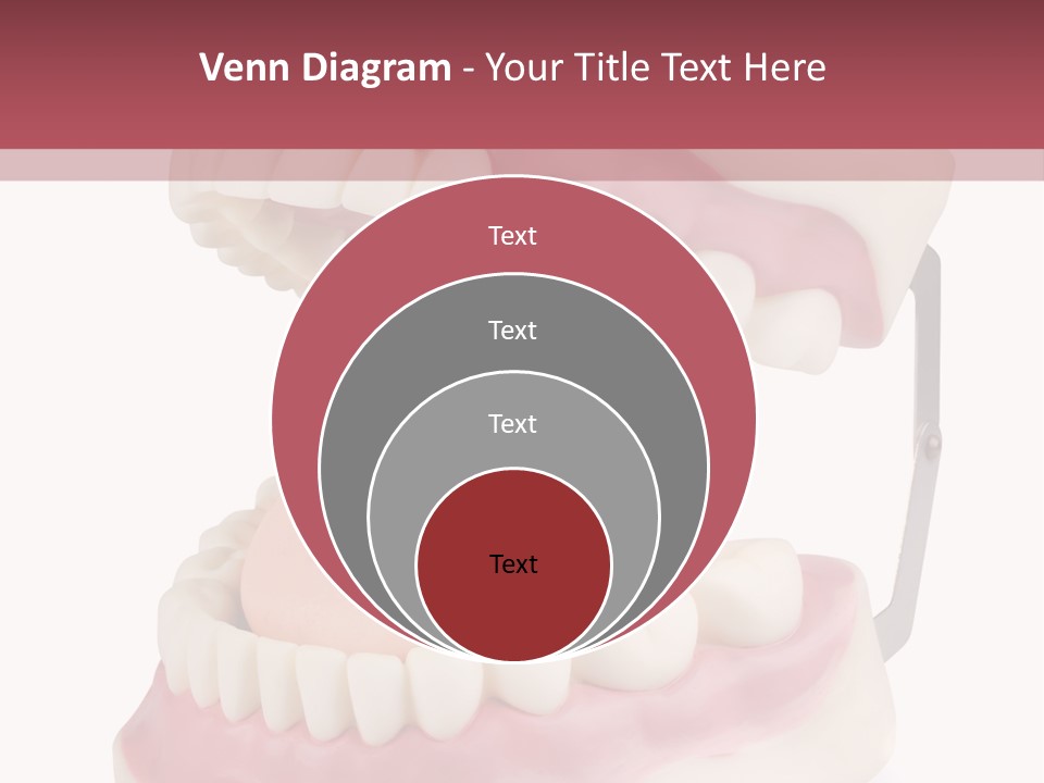 Background Object Bone PowerPoint Template
