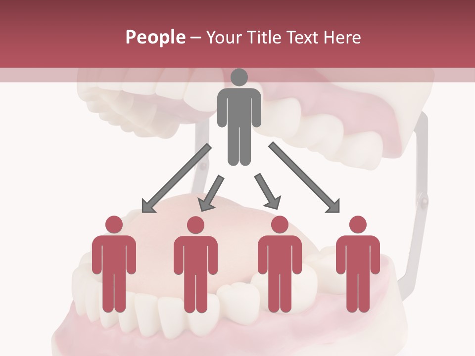Background Object Bone PowerPoint Template