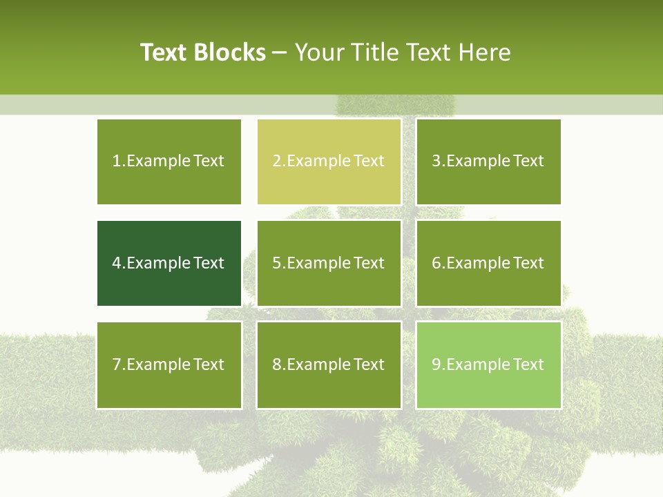 Greeting Surprise White PowerPoint Template