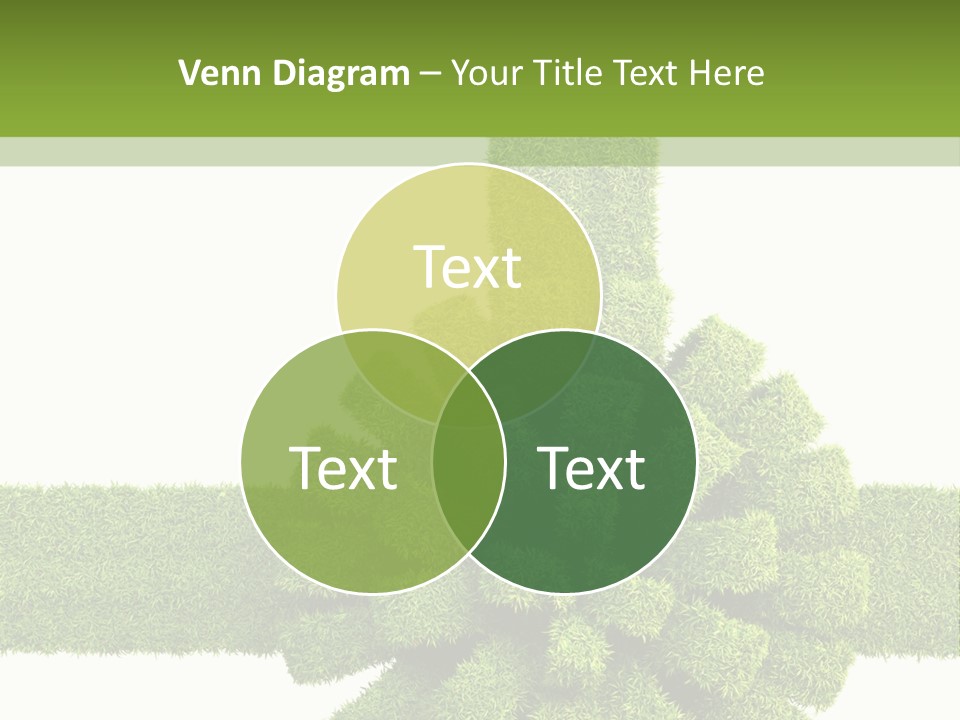 Greeting Surprise White PowerPoint Template