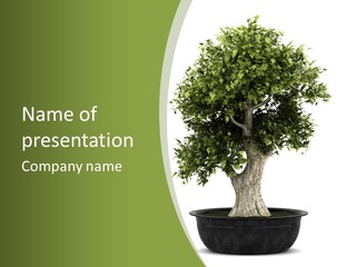 Colour Nobody Bush PowerPoint Template