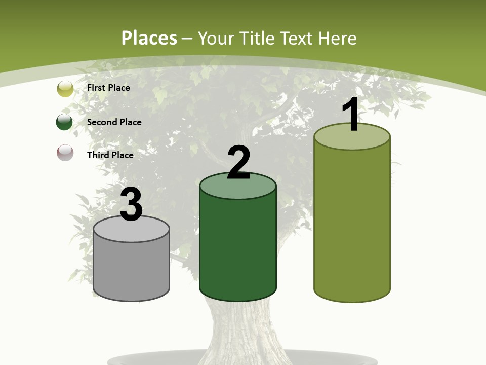 Colour Nobody Bush PowerPoint Template