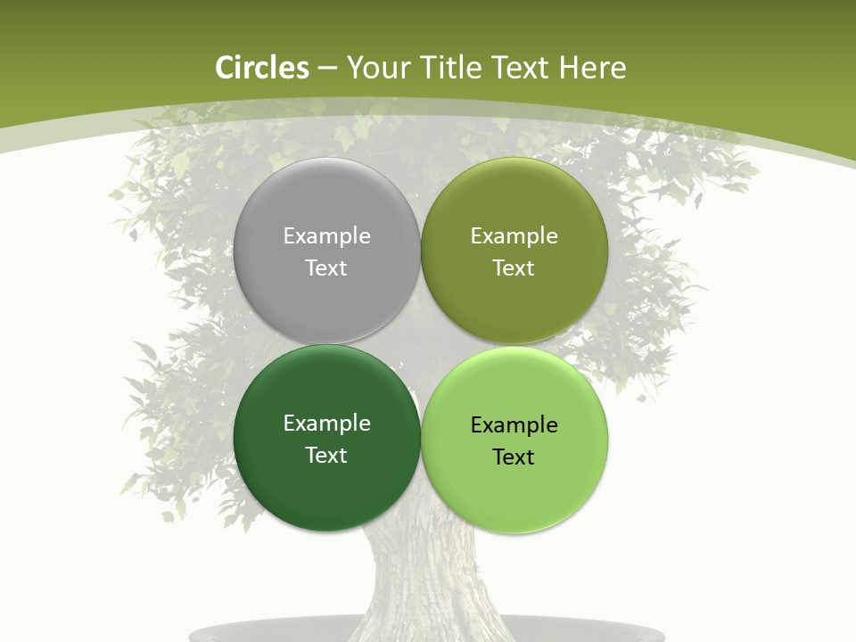 Colour Nobody Bush PowerPoint Template