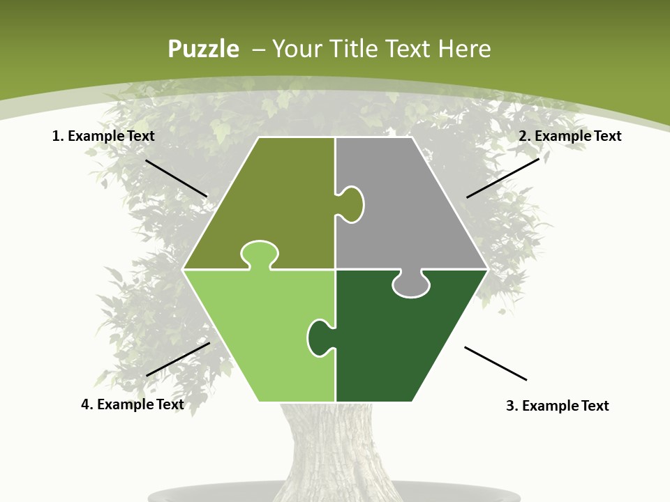 Colour Nobody Bush PowerPoint Template