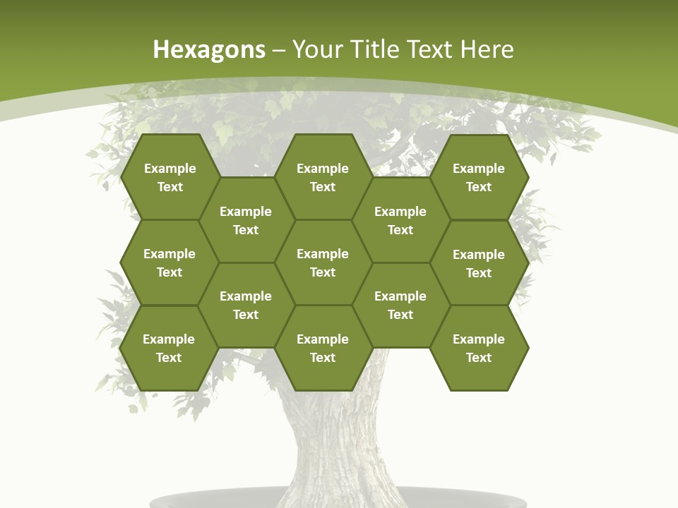 Colour Nobody Bush PowerPoint Template