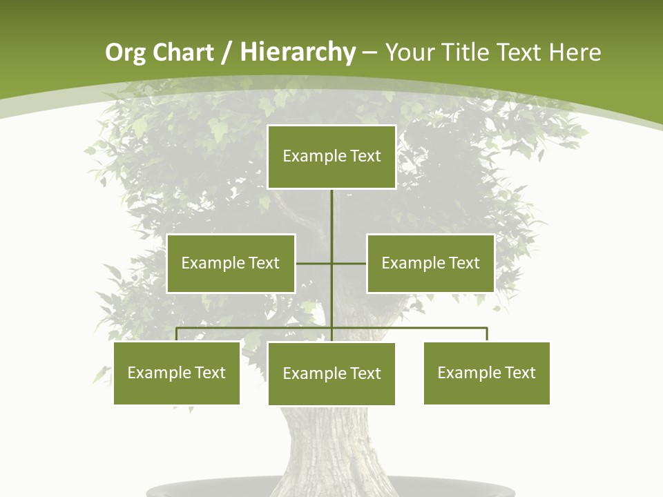 Colour Nobody Bush PowerPoint Template