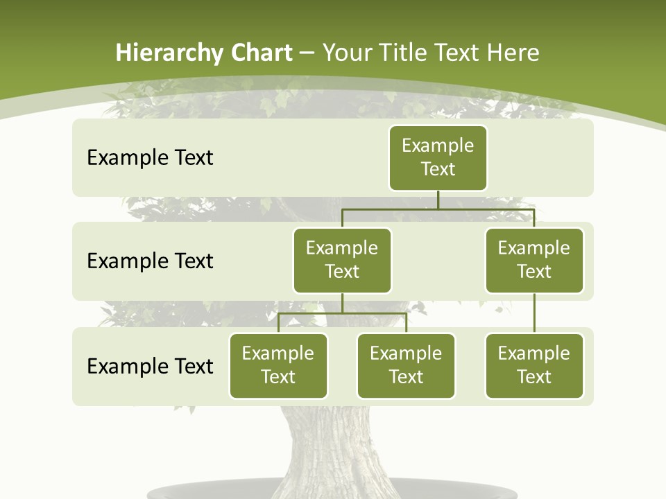 Colour Nobody Bush PowerPoint Template