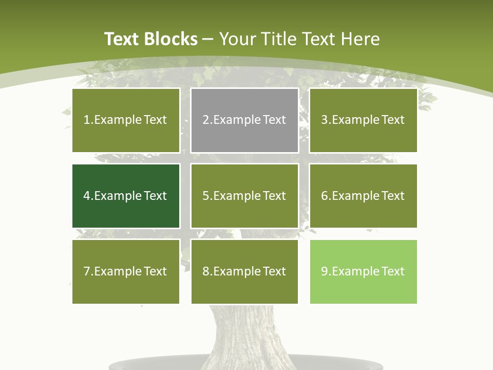 Colour Nobody Bush PowerPoint Template