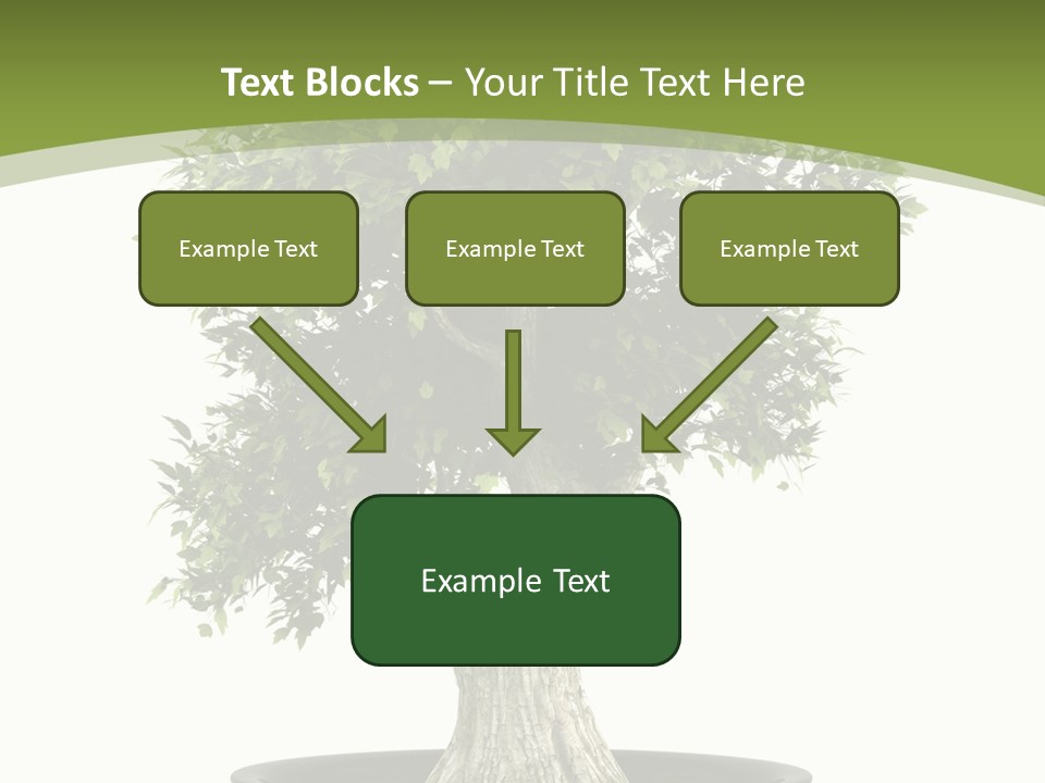 Colour Nobody Bush PowerPoint Template