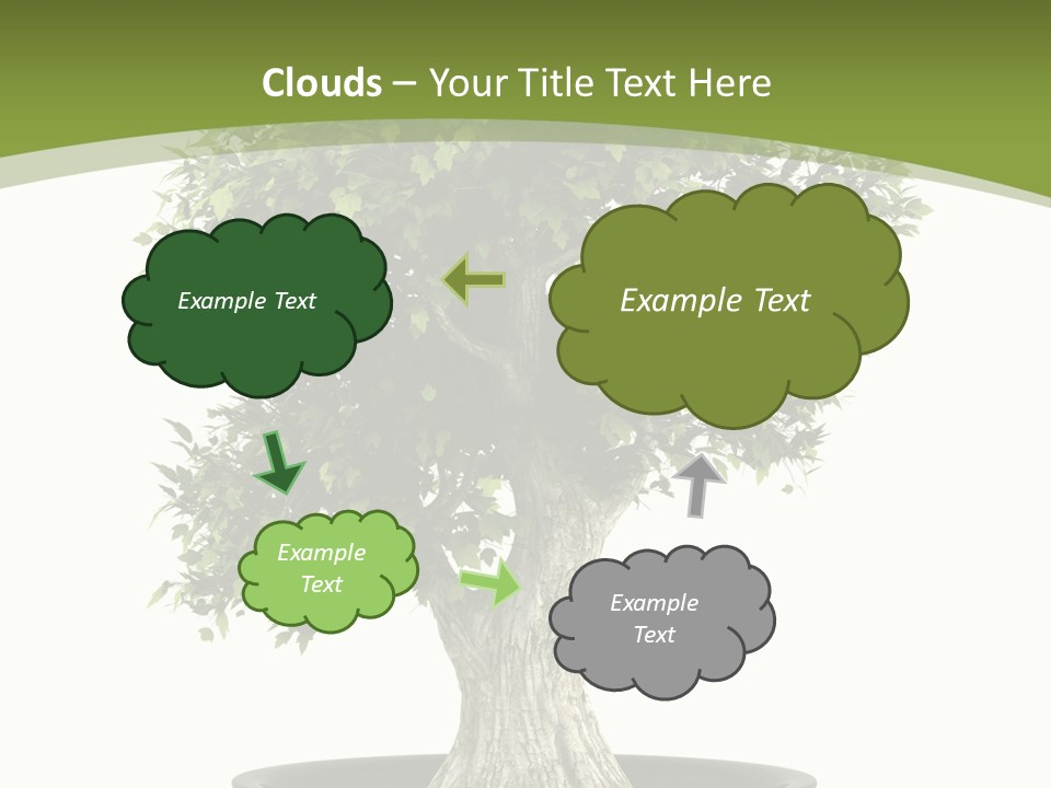 Colour Nobody Bush PowerPoint Template