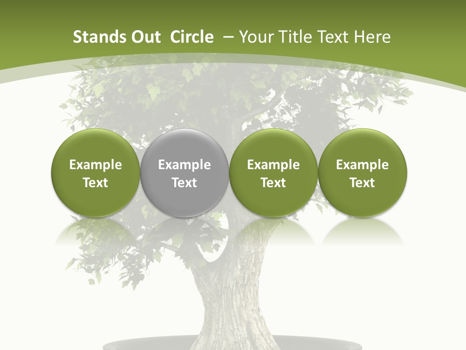 Colour Nobody Bush PowerPoint Template