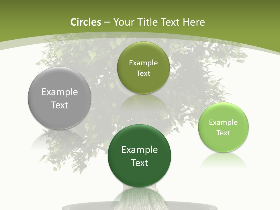 Colour Nobody Bush PowerPoint Template