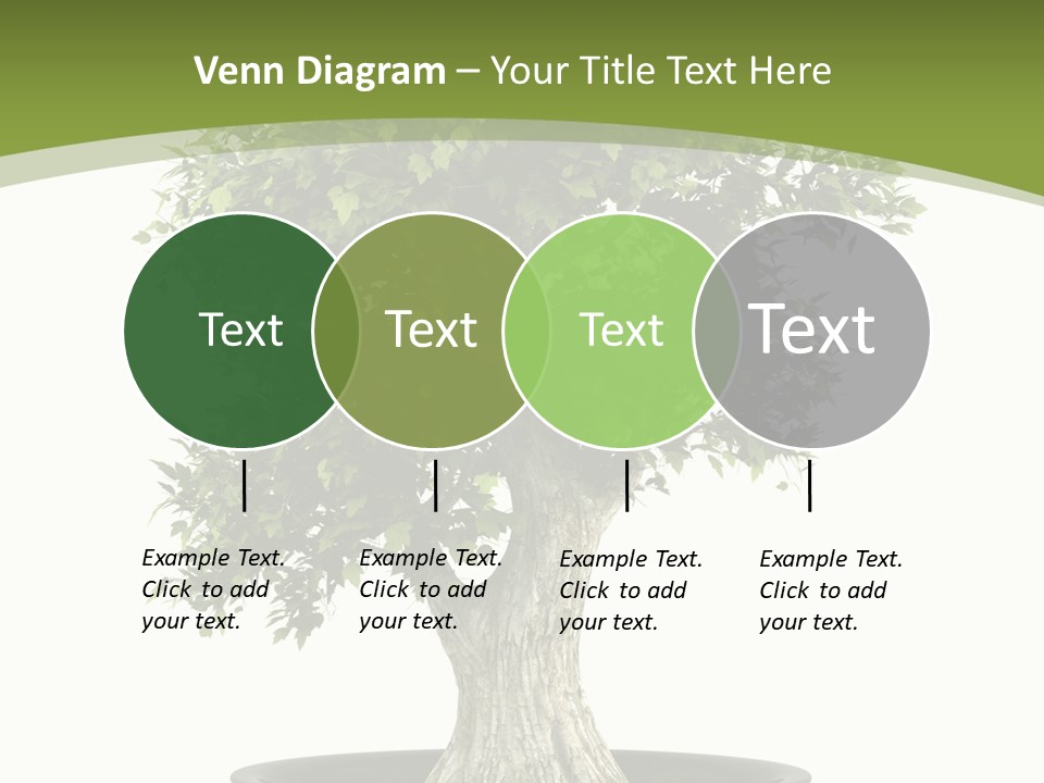 Colour Nobody Bush PowerPoint Template