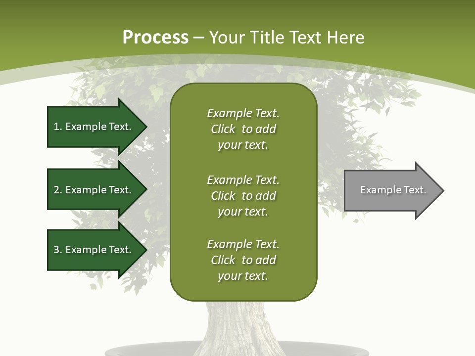 Colour Nobody Bush PowerPoint Template