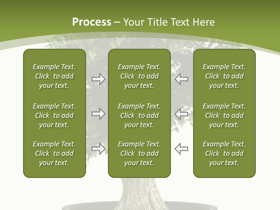 Colour Nobody Bush PowerPoint Template