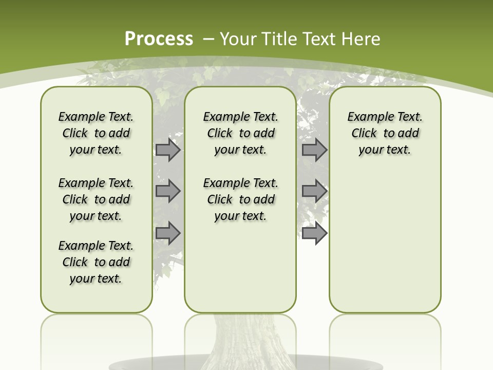 Colour Nobody Bush PowerPoint Template