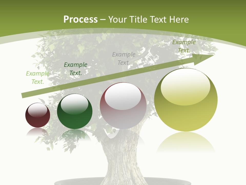 Colour Nobody Bush PowerPoint Template