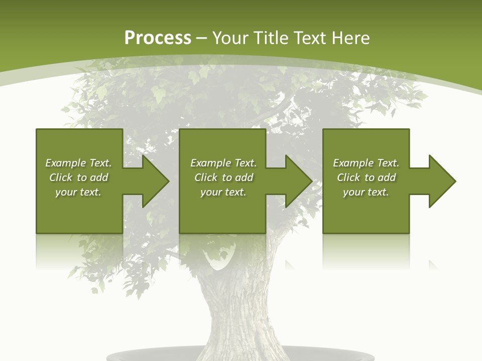 Colour Nobody Bush PowerPoint Template