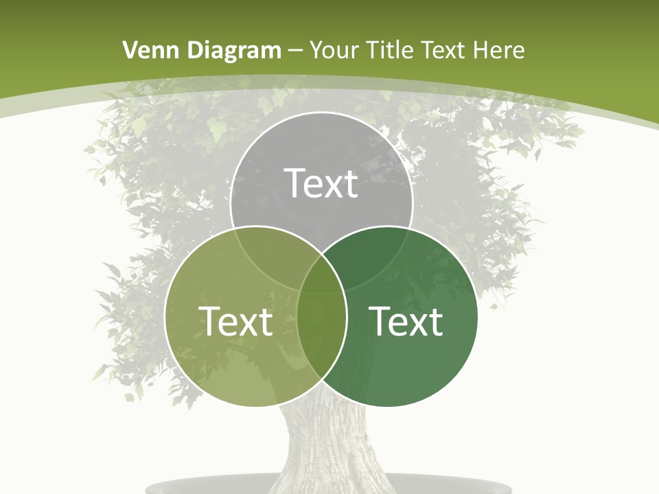 Colour Nobody Bush PowerPoint Template