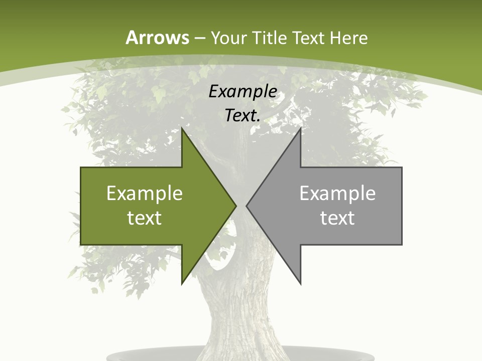 Colour Nobody Bush PowerPoint Template