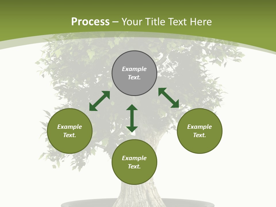 Colour Nobody Bush PowerPoint Template